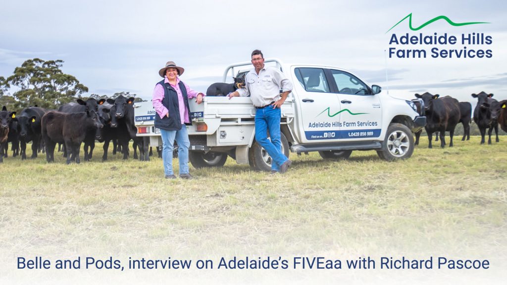 Before moving to an Adelaide Hills lifestyle farm, listen to Belle and Pods on FIVEaa with Richard Pascoe