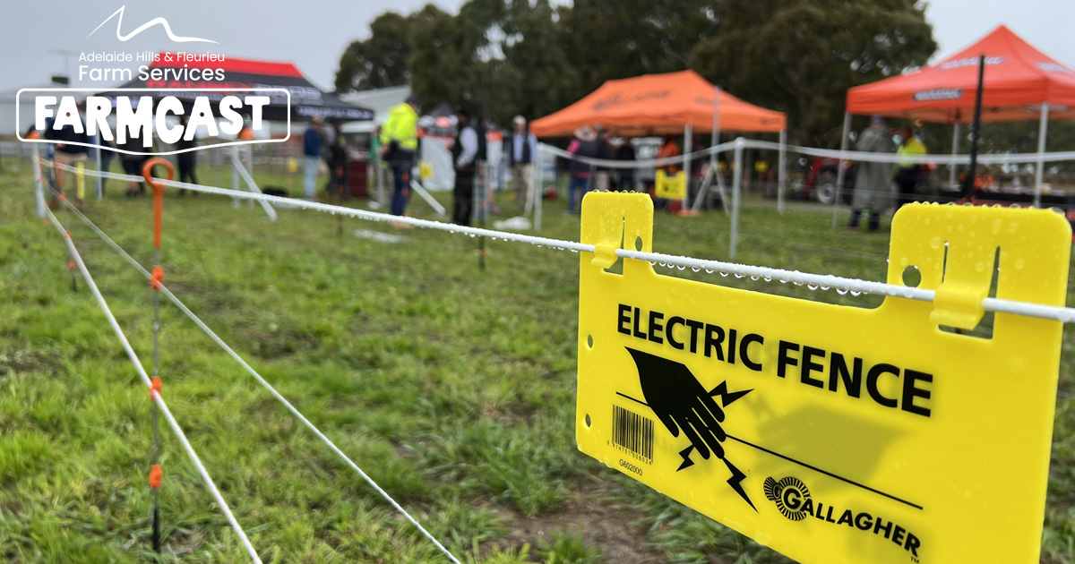 Electric fencing discussion for Adelaide Hills & Fleurieu Farmcast - July 2023 Edition