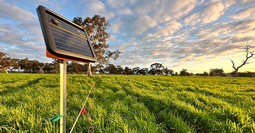 Gallagher Solar Energizer in use on temporary electric fence