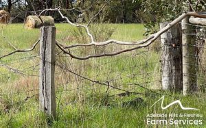 A tree limb over an old farm fence on the Fleurieu Peninsula of South Australia
